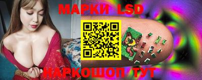 крисы Вязьма