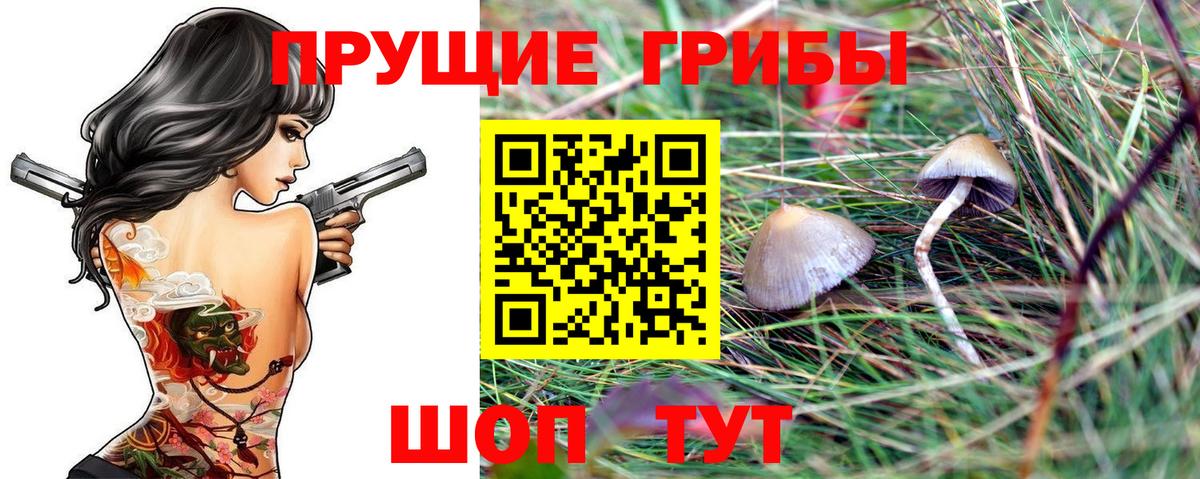Псилоцибиновые грибы Psilocybine cubensis  Галлюциногенные грибы мухоморы  Вход с VPN  Мурино 