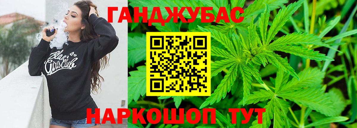 Шишки марихуана план Мурино